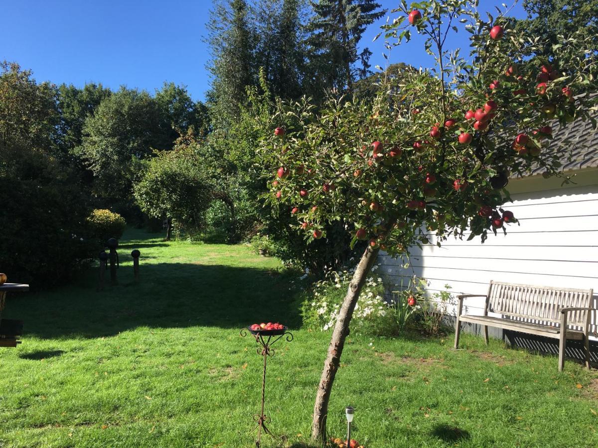 Natuurhuisje Heerlijkheid Beek Berg en Dal Bagian luar foto